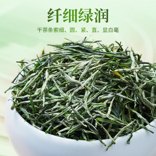 【2026年新茶预售】茶马世家丨信阳毛尖 河南名优绿茶 特级 春色满园 礼盒装 200g，新茶预计4月10日发货 商品图2