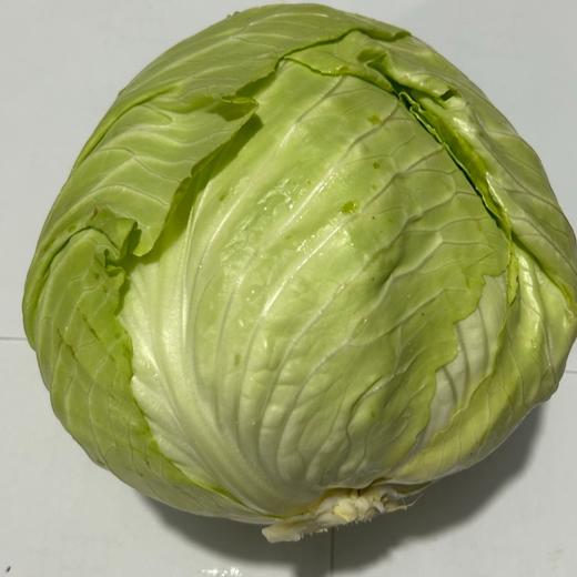 【同行精选】蔬菜箱6斤 自然农法种植 共7种菜品：胡萝卜，豌豆苗、油麦菜，卷心菜，菠菜，莴笋，苏州青苔 【京东空运】 商品图1