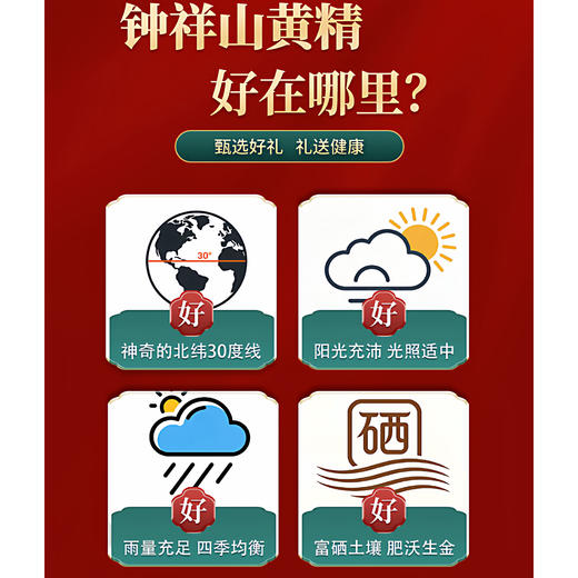 钟祥山九蒸九晒黄精古法制作温和细腻特产罐装 商品图3