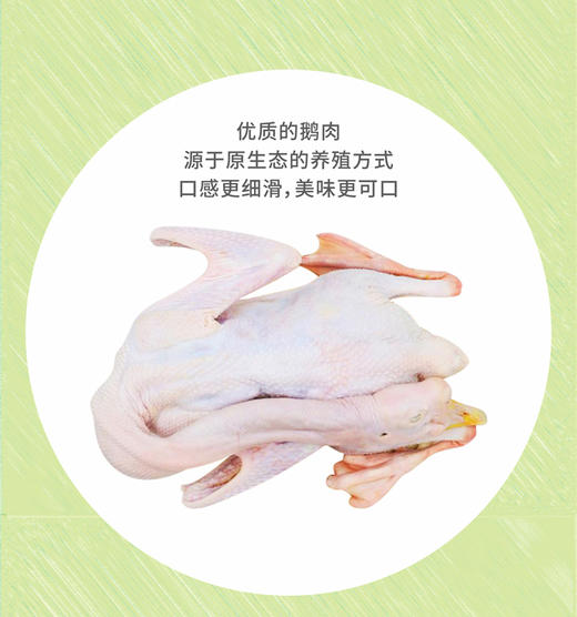 【每日鲜】农家鹅约7斤左右 商品图1