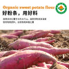 有机红薯粉条260g农家手工制作健康无添加 商品缩略图1