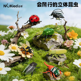 【7个会爬行的立体昆虫 有夜光】百乐森立体昆虫发条玩具 儿童益智爬行仿真动物虫子模型礼盒 赠7张认知卡+礼盒套装