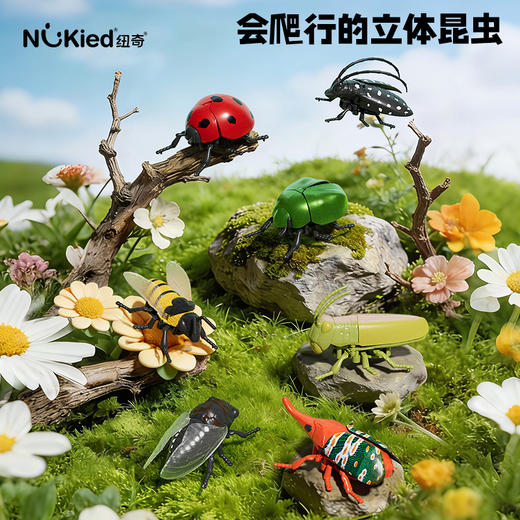 【7个会爬行的立体昆虫 有夜光】百乐森立体昆虫发条玩具 儿童益智爬行仿真动物虫子模型礼盒 赠7张认知卡+礼盒套装 商品图0