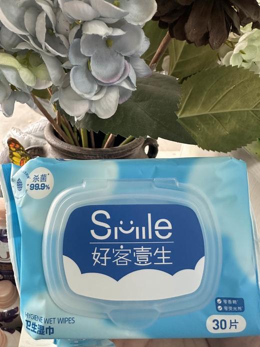 好客壹生牌 杀菌湿巾 30片装 单包装（仅限钦州鼓雪站自提） 商品图0