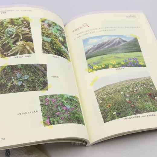 祁连山国家公园候选区（青海）自然教育读物（6~7岁适用） &2025 商品图4