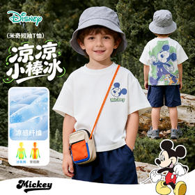 迪士尼纵野寻觅境夏季男童短袖T恤ZD2FS009