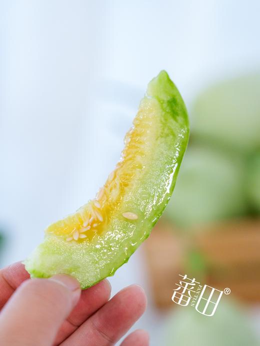 【绿美人香瓜】17°+自然甜，果肉透亮如冰种翡翠，入口化水无渣感-CC 商品图3