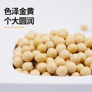 万谷食美 黄豆 2斤 非转基因东北黄大豆可打豆浆 /粮油调味 /杂粮 /杂豆类 商品图3