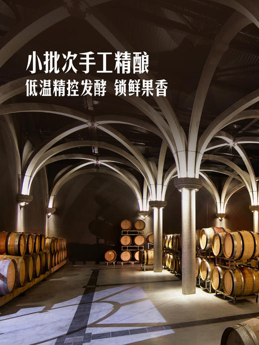 MM 山姆 d‘Arenberg澳大利亚进口 黛伦堡甘泉雷司令白葡萄酒 750ml 商品图6