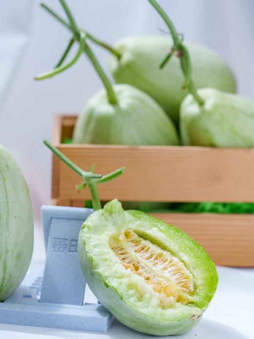 【绿美人香瓜】17°+自然甜，果肉透亮如冰种翡翠，入口化水无渣感-CC 商品图0