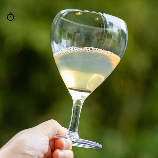 企鹅市集|金桔计划 苹果西打酒 红苹果x白葡萄混酿 香气层次丰富 商品图2