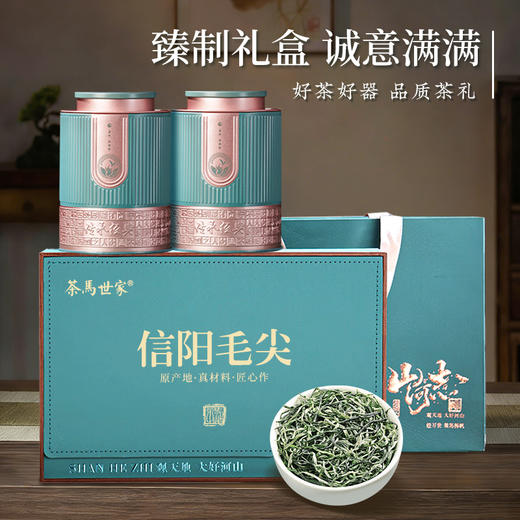 【2026年新茶预售】茶马世家丨信阳毛尖 绿茶 特级 山河志 礼盒装 200g，新茶预计4月10日发货 商品图1
