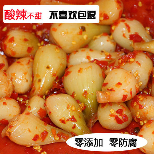 湖南特产农家水晶藠头下饭菜新鲜茭头腌制瓶装酸辣椒荞头开胃泡菜 商品图3