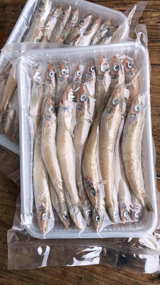 沙丁鱼 野生捕捞 新鲜发货 肉质细腻 油炸香煎 商品图5