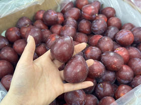 澳洲鸡心李（散称49.8/斤 称重补差）