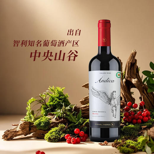 MM 山姆 米高桃乐丝（Miguel Torres）智利进口 安第卡珍藏美乐干红葡萄酒 750ml 商品图1