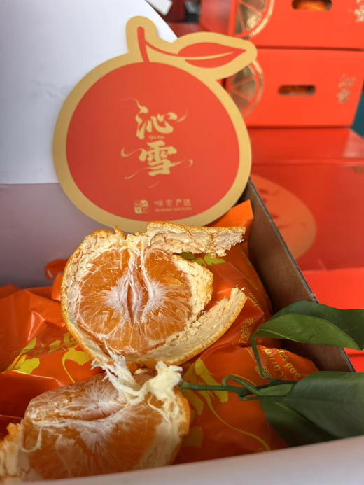 沁雪大雅柑礼盒装（毛重9斤左右） 商品图1