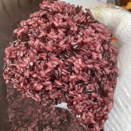 紫香贡米血糯米黑米红米湖南特产新化紫鹊界紫米新米糙米饭紫糯米 商品图4