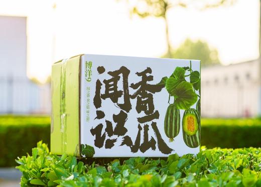 【绿美人香瓜】17°+自然甜，果肉透亮如冰种翡翠，入口化水无渣感-CC 商品图10