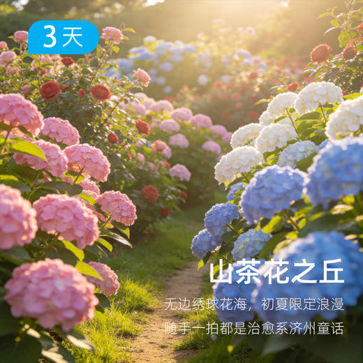 首届汉拿山登山大会｜登顶韩国之巅，共赴火山之约 济州旅游局合作支持  赠纪念礼品包  3日 商品图2