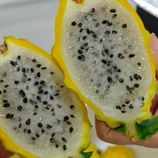 海南黄金燕窝果 商品图2