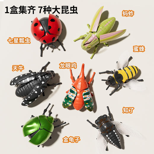 【7个会爬行的立体昆虫 有夜光】百乐森立体昆虫发条玩具 儿童益智爬行仿真动物虫子模型礼盒 赠7张认知卡+礼盒套装 商品图2