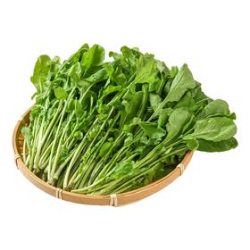 放心嫩嫩菜(芝麻菜)150g