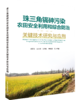 珠三角镉砷污染农田安全利用和综合防治关键技术研究与应用9787511163073 商品缩略图0
