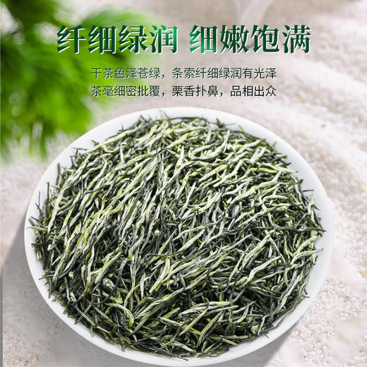 【2026年新茶预售】茶马世家丨信阳毛尖 河南名茶 绿茶 特级 50g 罐装，新茶预计4月10日发货 商品图4