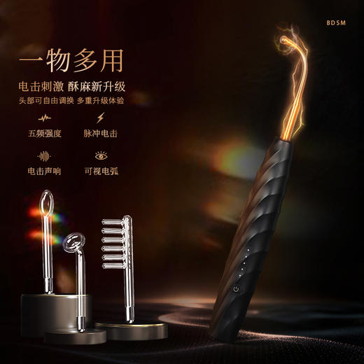 roomfun房趣电滋棒sm电击调教情趣道具重口味男女调情神器刑器 商品图1