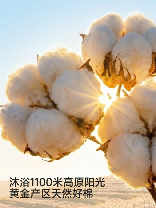 英氏婴儿袜子男童女童春夏透气中筒袜2双装小月龄YIWAJ2S053A YIWAJ2S054A YIWAJ2S055A YIWAJ2S056A YIWAJ2S057A YIWAJ2S058A 商品图2