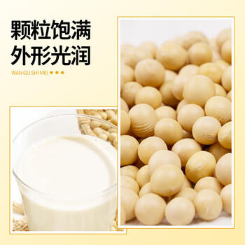 万谷食美 黄豆 2斤 非转基因东北黄大豆可打豆浆 /粮油调味 /杂粮 /杂豆类 商品图1