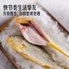MM 山姆 Member's Mark 三去大黄鱼 2kg 商品缩略图2