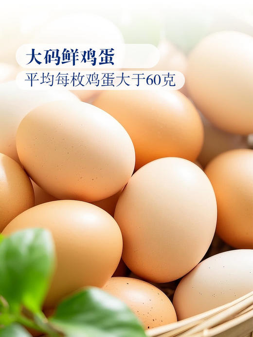 MM 山姆 德青源 蛋博士大码鲜鸡蛋 30枚 1.8kg 商品图1