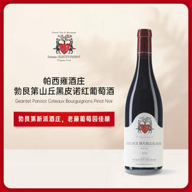 Geantet Pansiont Coteaux Bourguignons Pinot Noir 2023帕西雍勃艮第山丘黑皮诺红葡萄酒