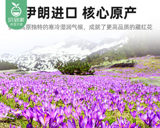 【9折】杞里香伊朗特级藏红花（3g/盒）生产日期: 26年3月补单链接 商品图3