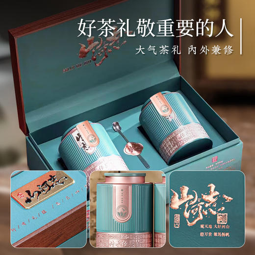 【2026年新茶预售】茶马世家丨信阳毛尖 绿茶 特级 山河志 礼盒装 200g，新茶预计4月10日发货 商品图2