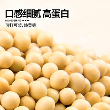 万谷食美 黄豆 2斤 非转基因东北黄大豆可打豆浆 /粮油调味 /杂粮 /杂豆类 商品图7