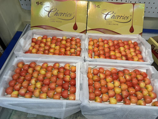 国产黄车 1.8斤装 商品图5