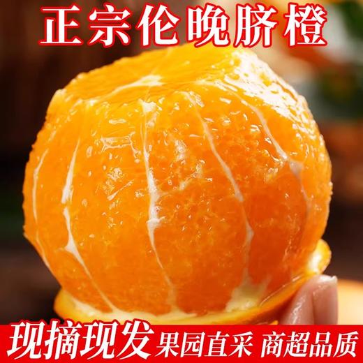 鲜榨当季！秭归伦晚春橙，一口爆汁的“橙中皇后” 商品图5