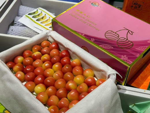 丸淇老品牌·大连晚熟金樱桃🍒Dalian Gold Cherries
分量更足，果型饱满
颜色、新鲜度、硬度全拉满
颗颗无瑕疵，颜值与口感双在线 商品图5