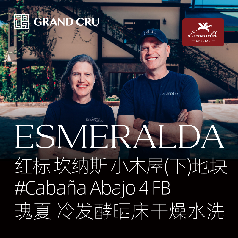 2026新产季｜翡翠庄园 红标 冷发酵晒床干燥水洗瑰夏 Cabaña Abajo 4 FB 小木屋(下)