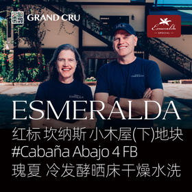 2026新产季｜翡翠庄园 红标 冷发酵晒床干燥水洗瑰夏 Cabaña Abajo 4 FB 小木屋(下)