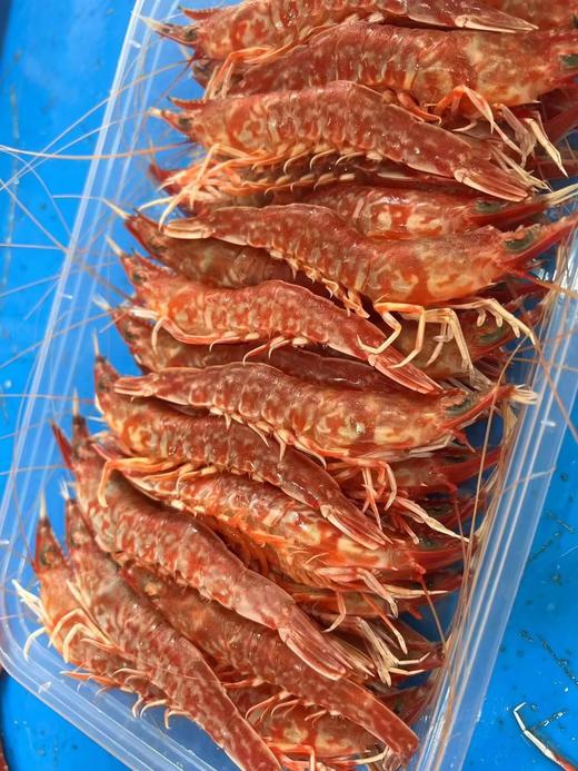 L''今日樱花虾上新～ 肉质紧实鲜甜，鲜度拉满！ 商品图1