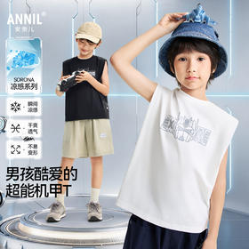 男童套装夏季新款安奈儿童装EB622650