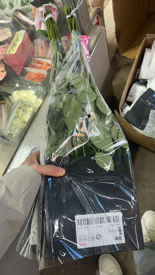 丽江洛神 商品图2