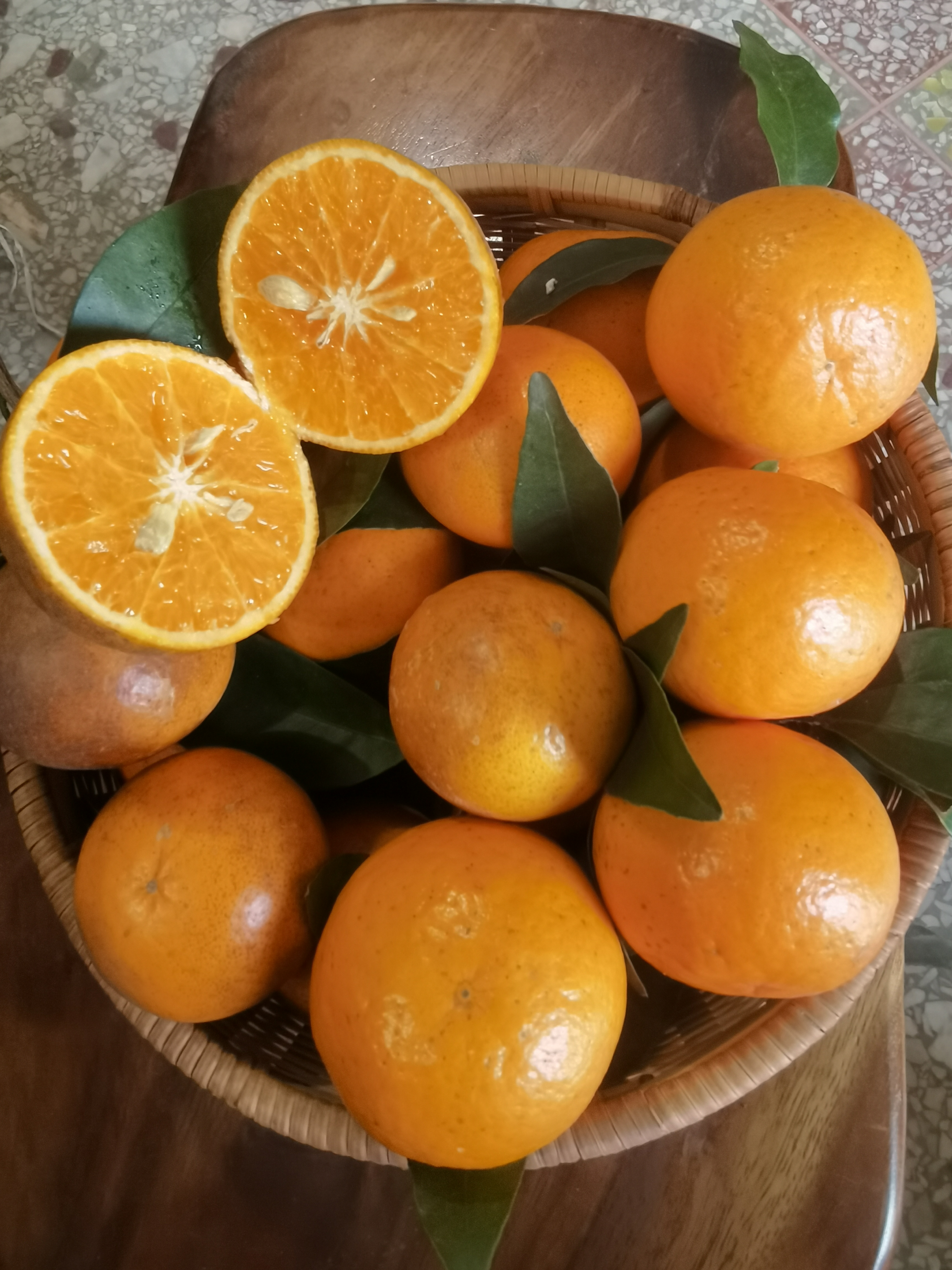 合作产品/广西生态沃柑