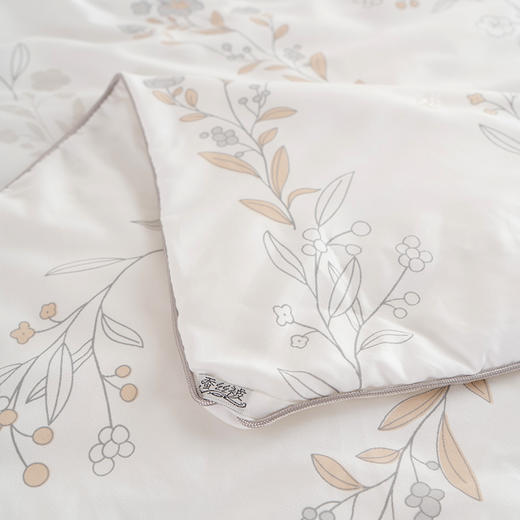 杉杉家纺  舒雅纯蚕丝被 商品图2