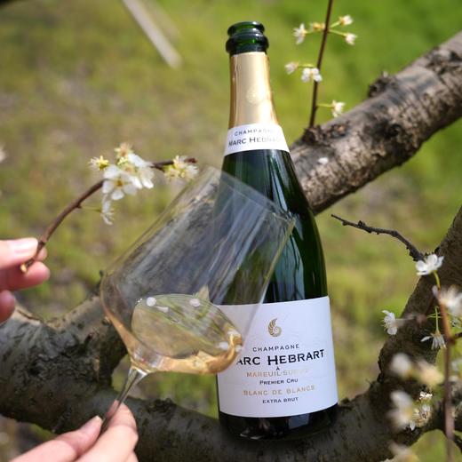 【春日出游一套搞定】马克艾博香槟+露纹艺术霞多丽+睦纱桃红+ABC伊莎贝拉黑皮诺干红套装 商品图6