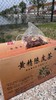 【吉满堂】黄精陈皮茶包206克/20包*2 商品缩略图0